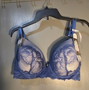 Daisy Fuentes Blue Lace Bra
